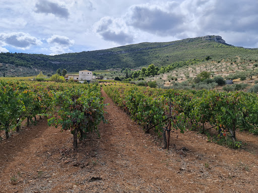 Greek Tours 31 Photo from customer review