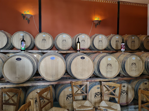 Greek Tours 32 Photo from customer review